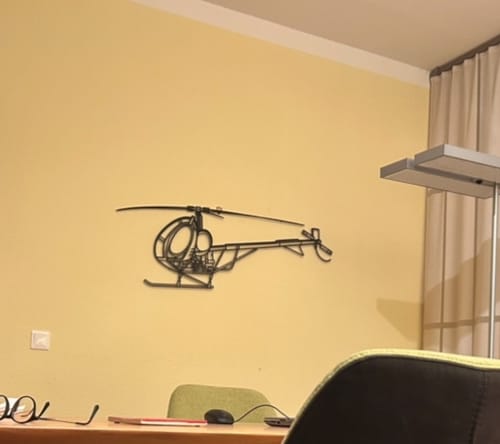 Customer photo review of S300 Silhouette Metal Wall Art