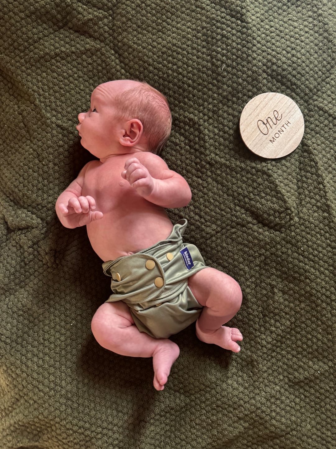 Customer photo review of 4-Layer Bamboo Viscose Cloth Diaper Insert