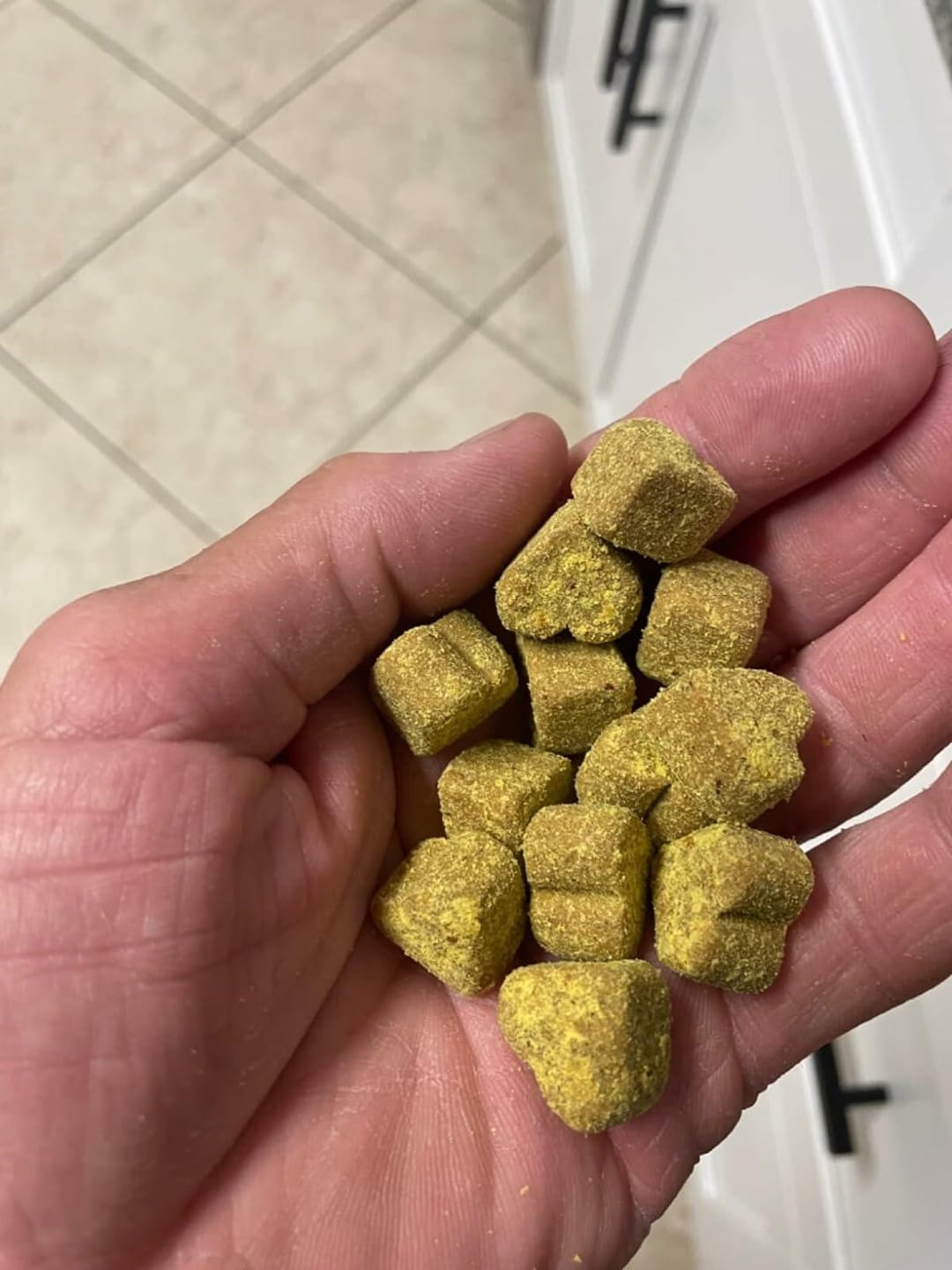 Customer photo review of Senior Dog Ultimate Health Chew