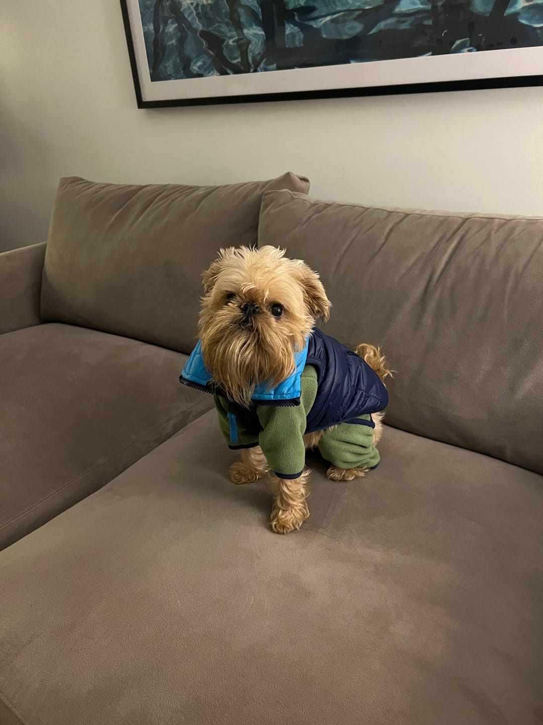 Customer photo review of NEW Fleece Pull-Over