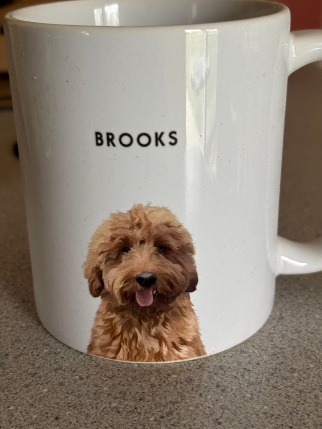Customer photo review of Custom Pet Portrait Mug