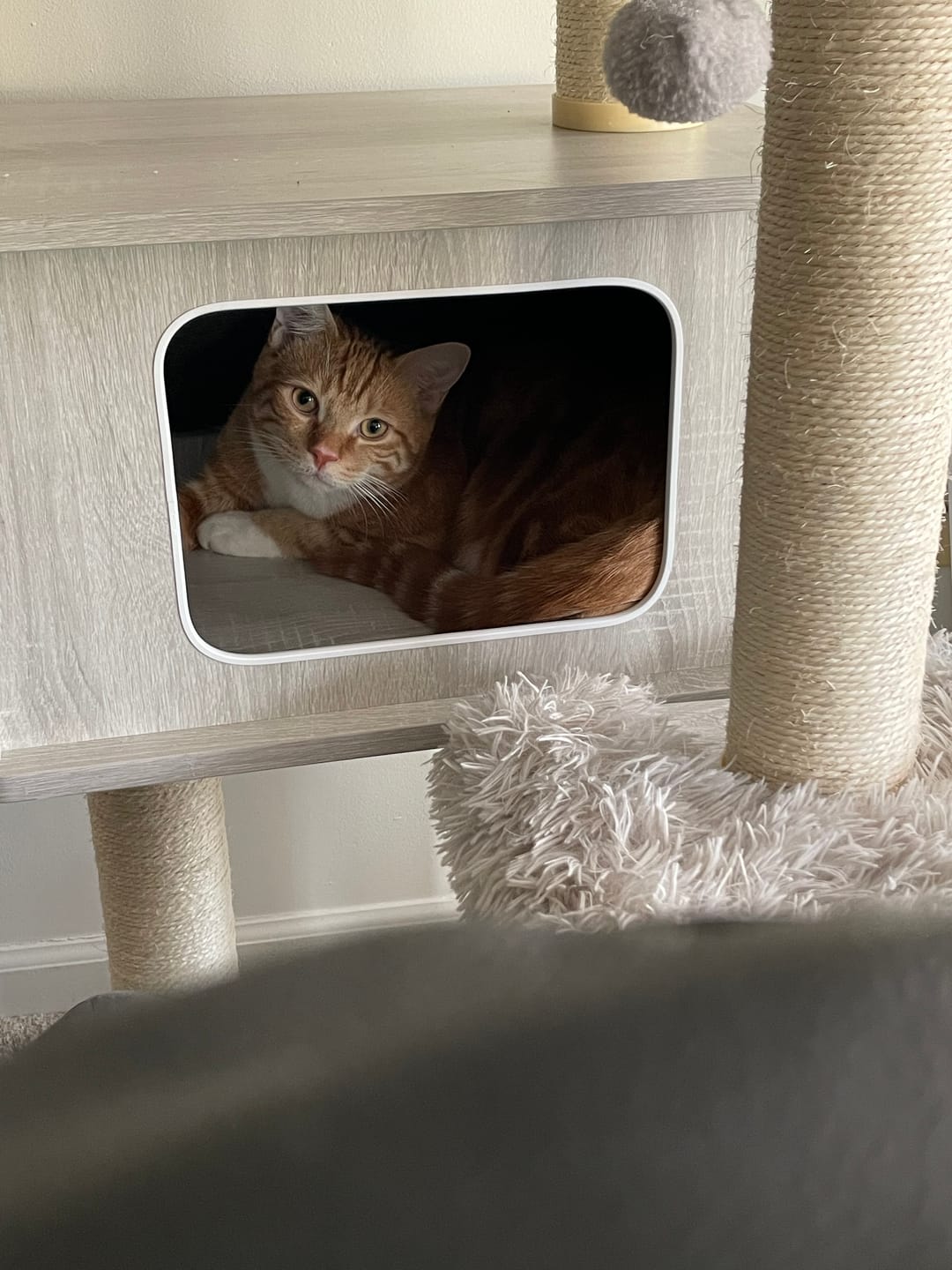 Customer photo review of 4.5" S-Rolled Gauze | North American Rescue