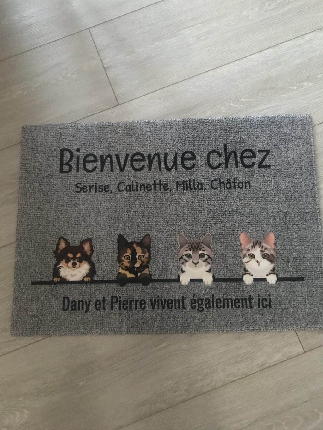 Customer photo review of Tous mes amis à poils - Paillasson personnalisé