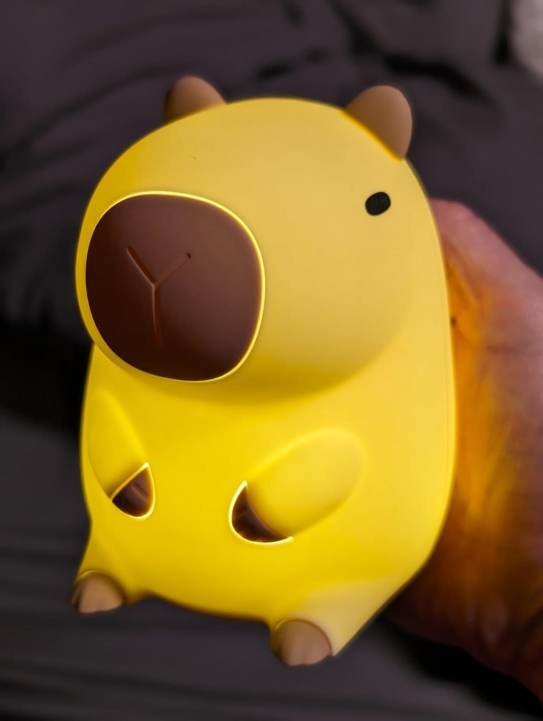 Customer photo review of MeWaii® Capybara Squishy Night Light - Perfect Gift 🎁