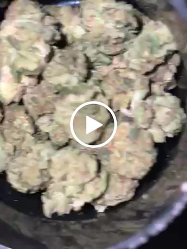 Customer video review of Skywalker OG - Greenhouse THCA (Smalls)