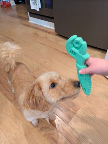 Customer photo review of The Tools - USA Made