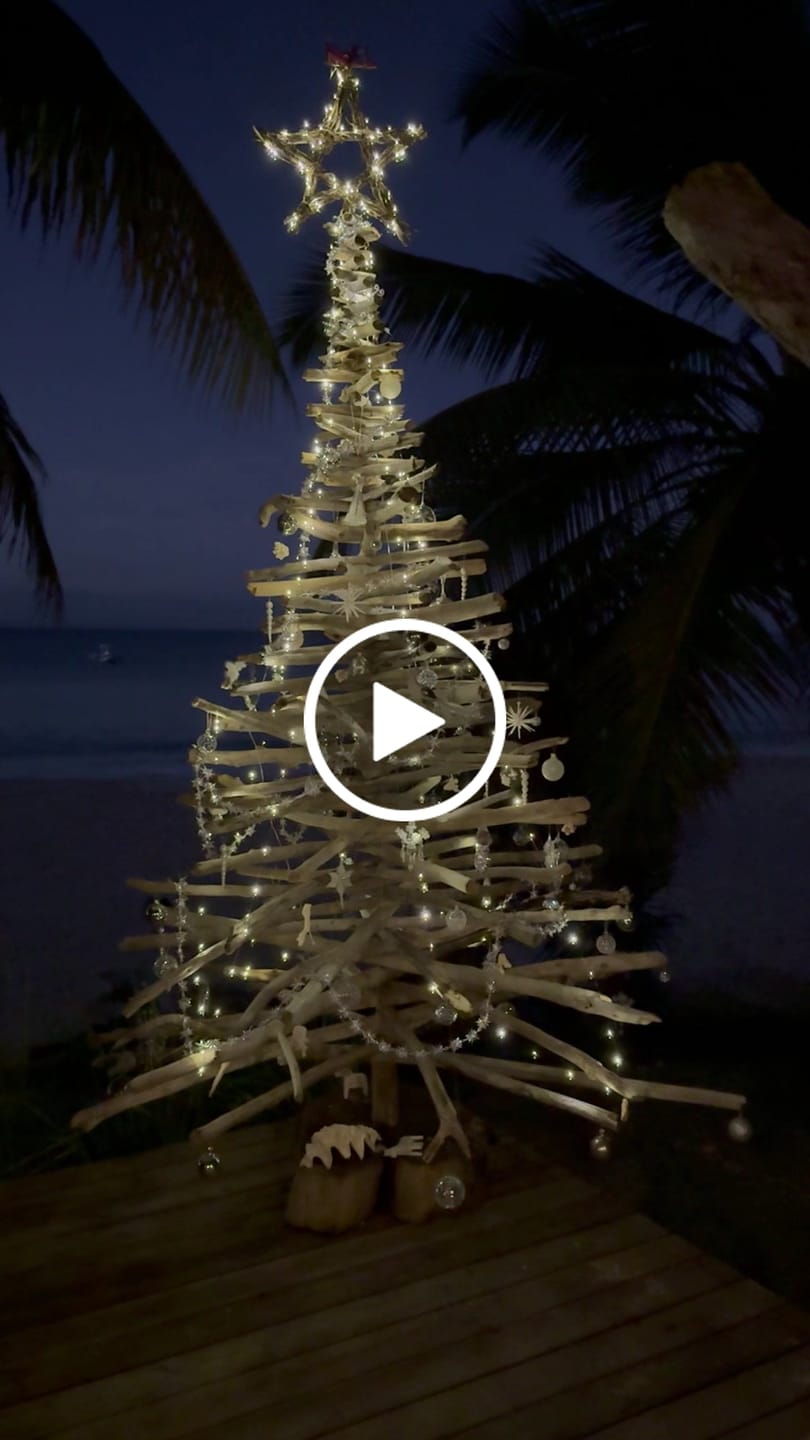 Customer video review of Copper Wire Solar Fairy Lights