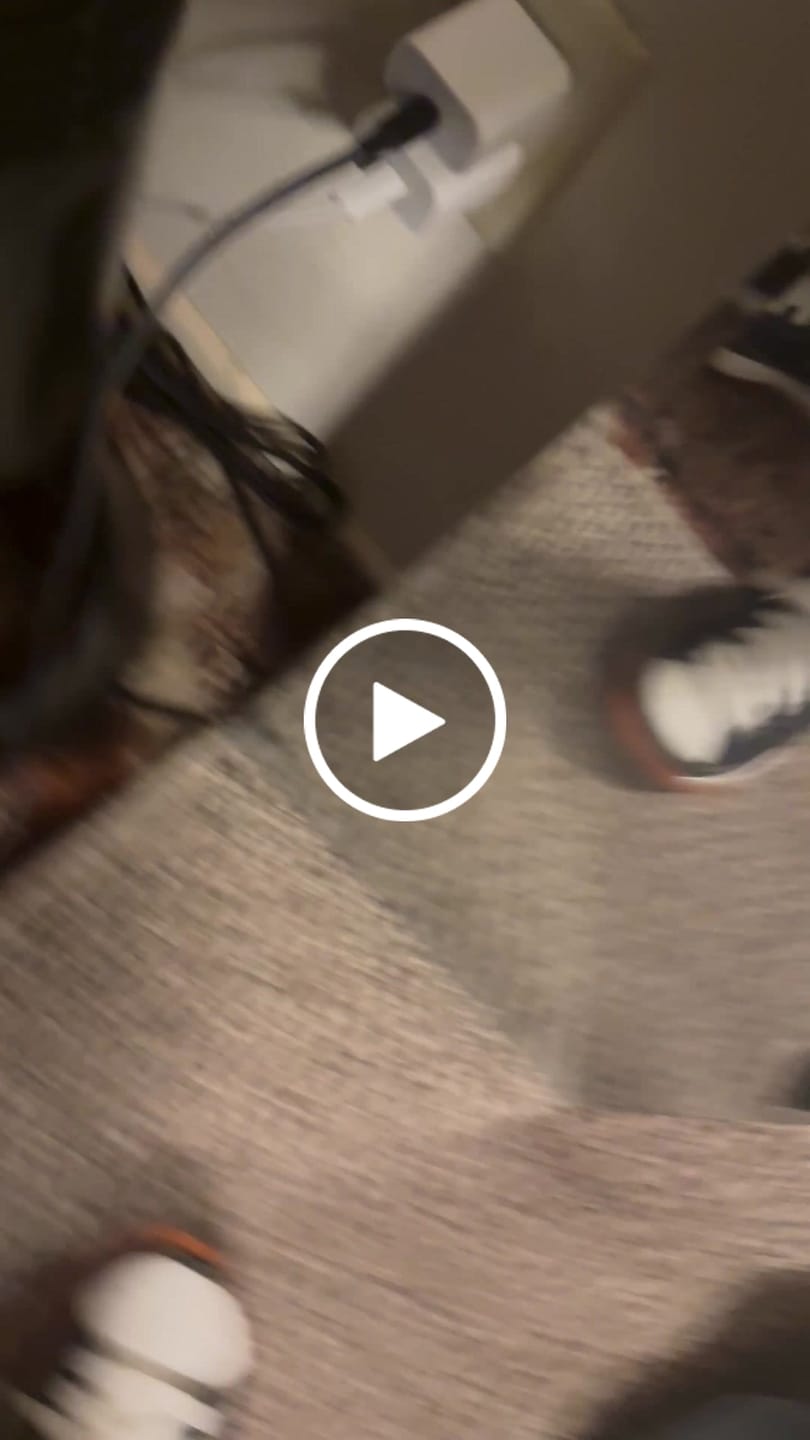 Customer video review of Easy1 Dust