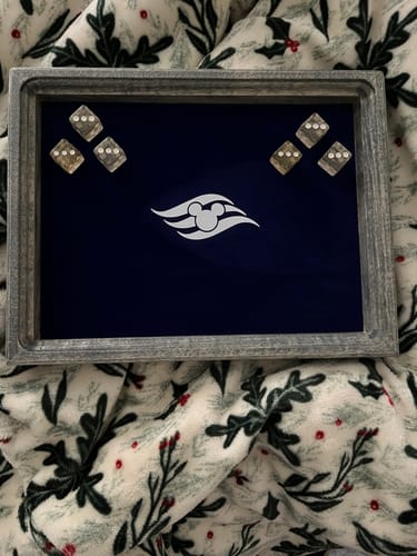 Customer photo review of DISNEY CRUISE LINE DTF Transfer