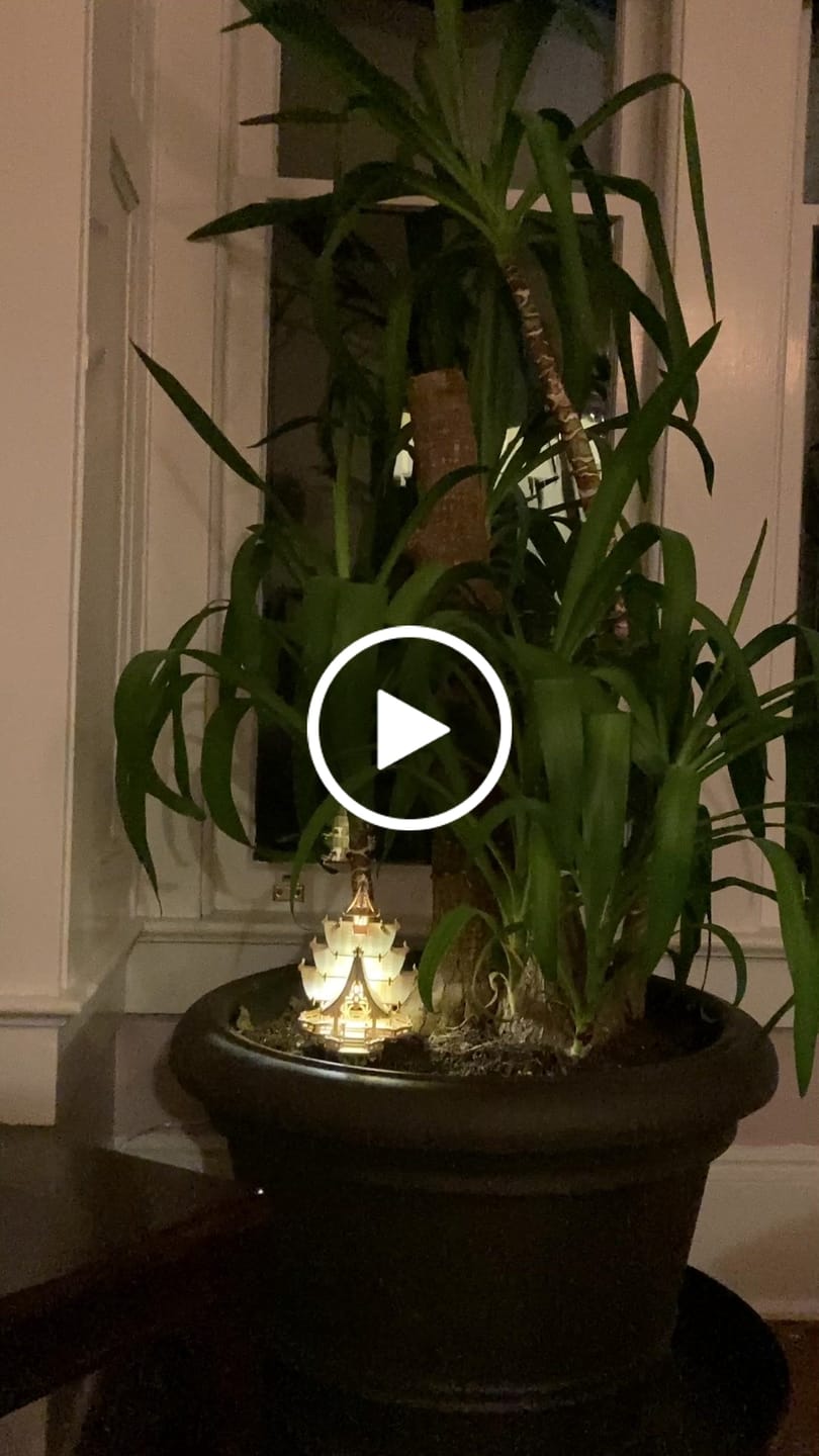 Customer video review of Temple of Joy