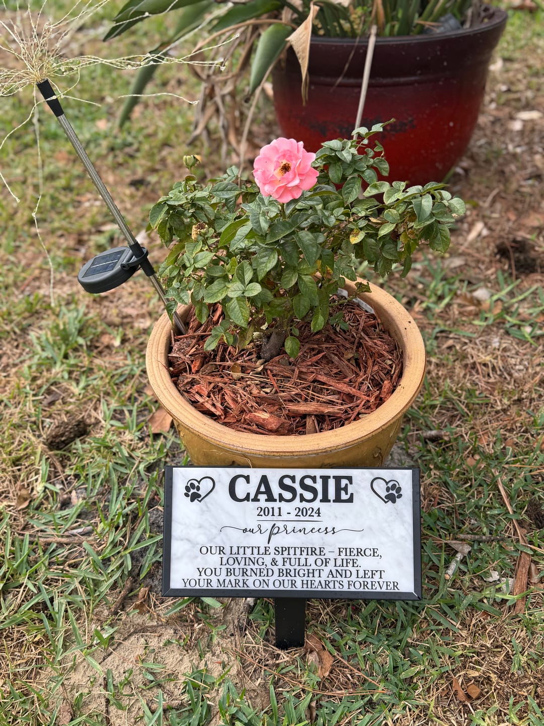 Customer photo review of Personalized Outdoor Engraved Marble Plaque, Pet headstones, Grave Marker, You left paw Prints
