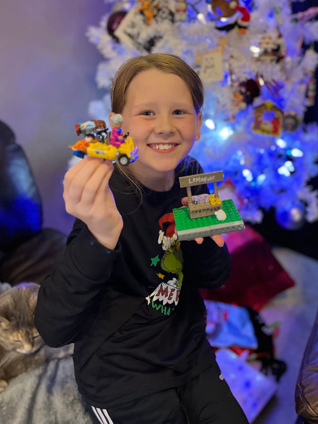 Customer photo review of Tuttle Twins "When Laws Give you Lemons" Lego Brick Set