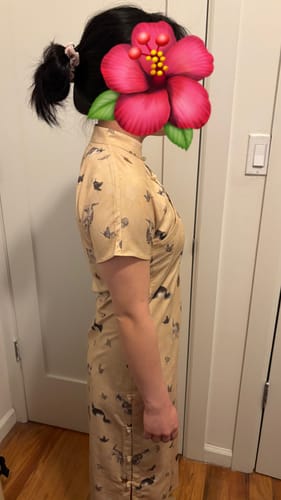 Customer photo review of Limao Xidie 狸猫戏蝶 Kitty & Butterfly Modernized Qipao