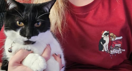 Customer photo review of If I Can't Bring My Dog I'm Not Going - Tee Shirts
