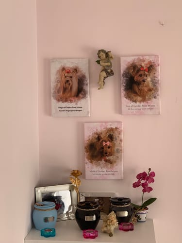 Customer photo review of Foto de tu mascota en estilo acuarela | Regalo para cachorros, perros y gatos