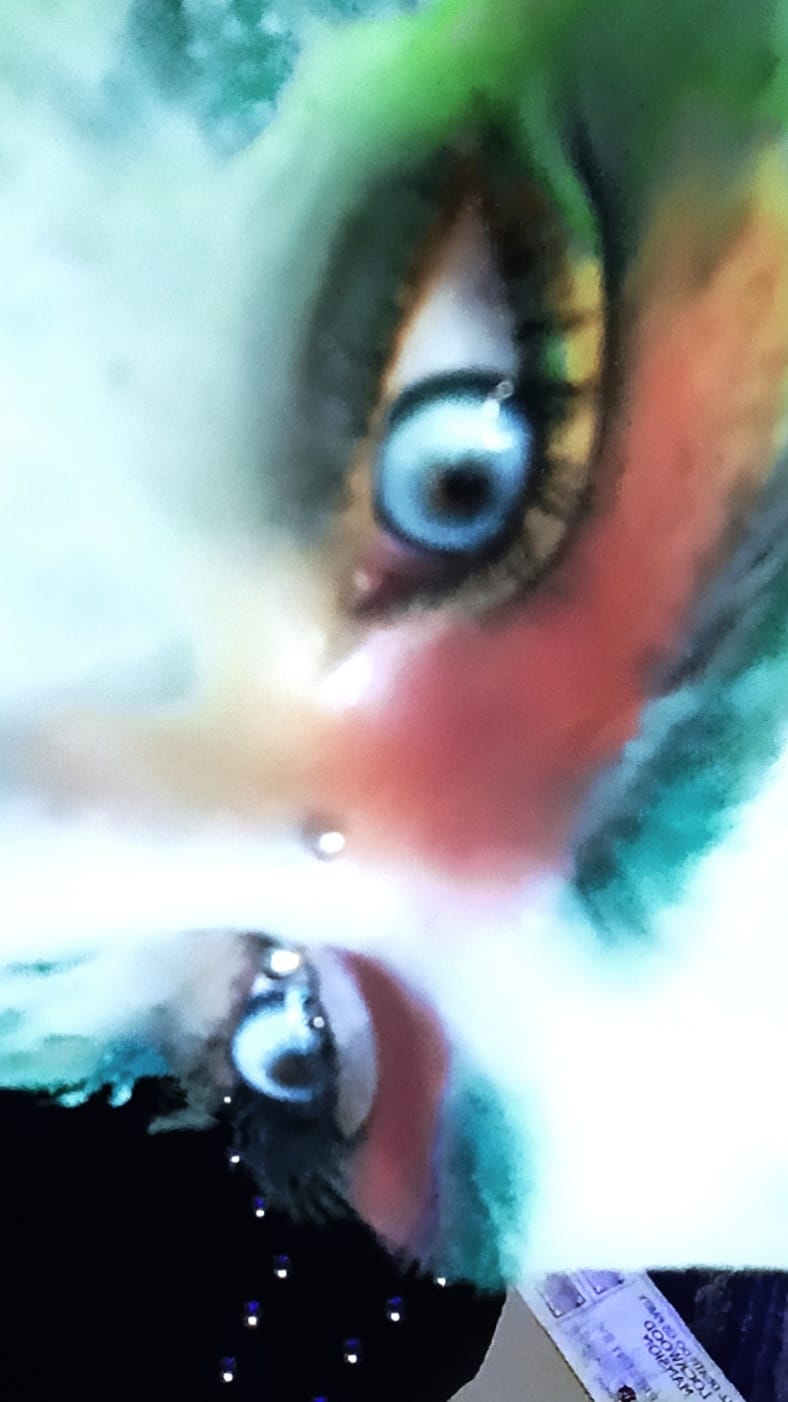 Customer photo review of Cosplay KOI Blue Colored Contact Lenses