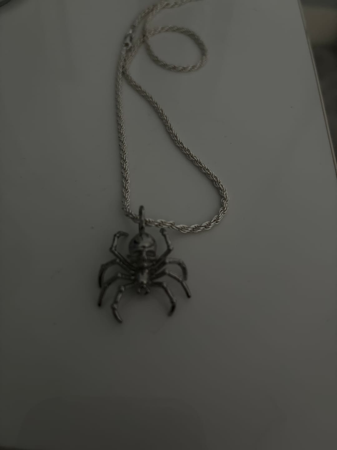 Customer photo review of SPIDER SKULL PENDANT