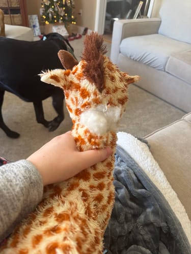 Customer photo review of Tough Plush - MEGAS