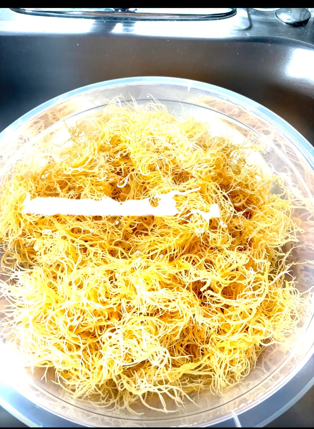 Customer photo review of Wildcrafted Sea Moss from the pristine waters of St. Lucia