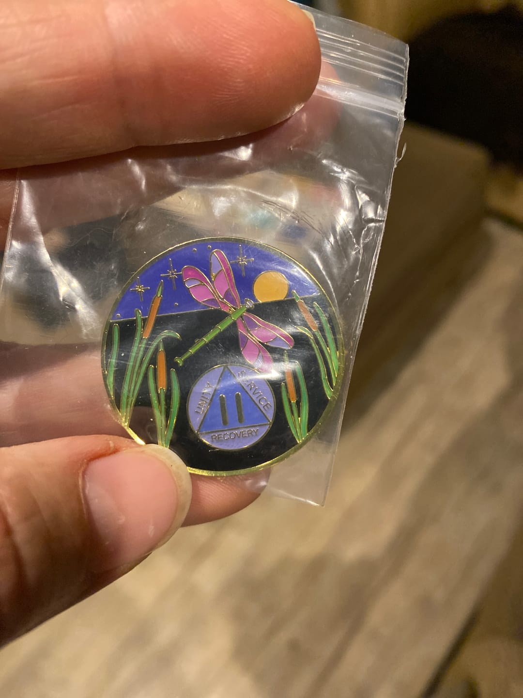 Customer photo review of Dragonfly 9th Step 2 Year Specialty AA Recovery Medallion - Tri-Plated Two Year Chip/Coin