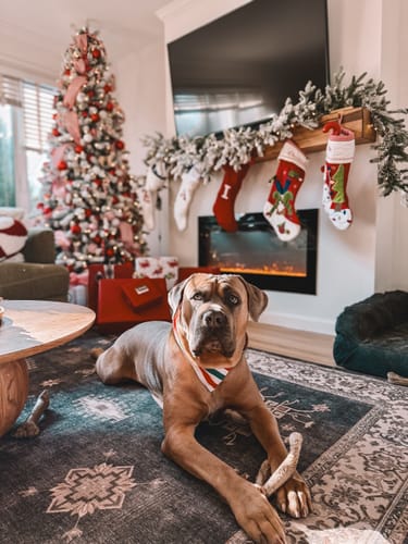 Customer photo review of Rustic Mantels