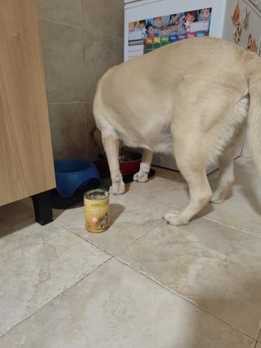 Customer photo review of Grain Free Light & Senior