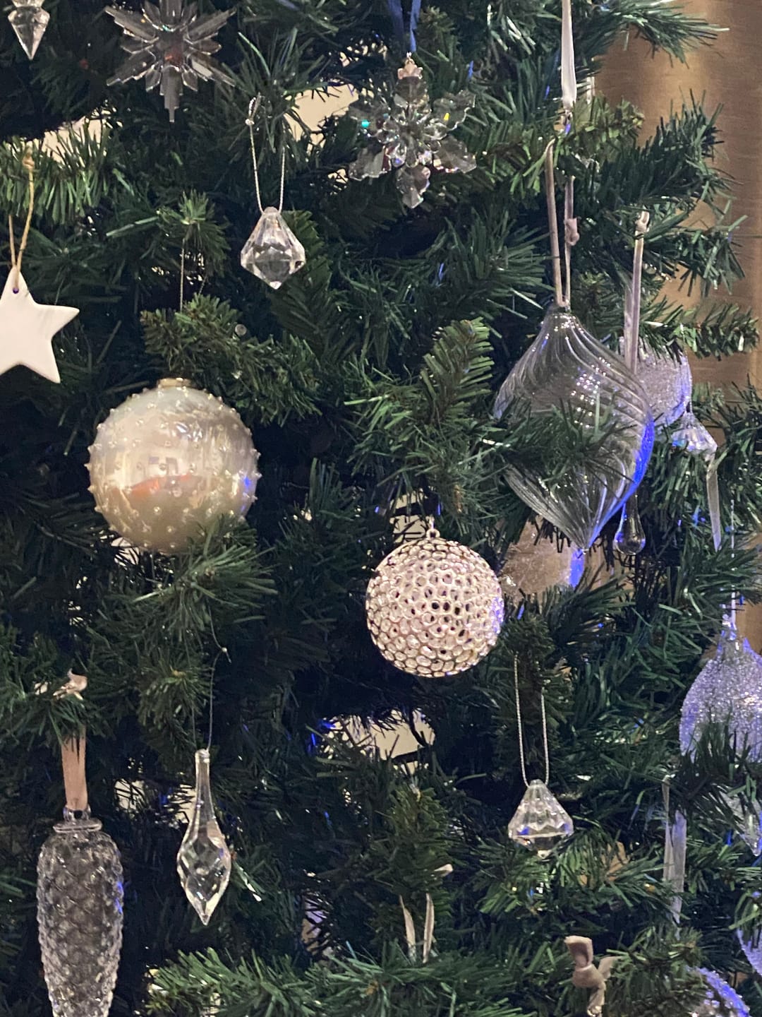 Customer photo review of Allegro Globe Bauble