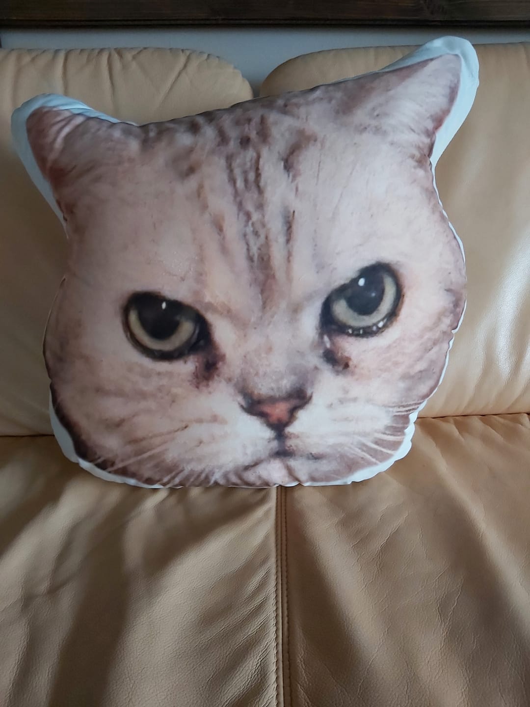 Customer photo review of Personalisiertes Tiergesichterkissen