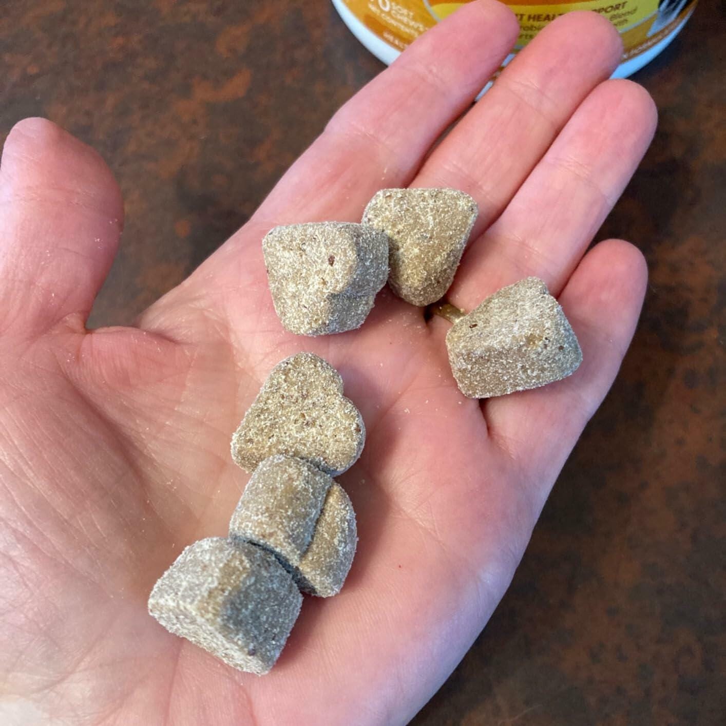Customer photo review of Belly Buddies Probiotics for Dogs