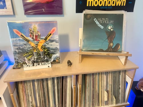 Customer photo review of A120 Vinyl Record Shelf