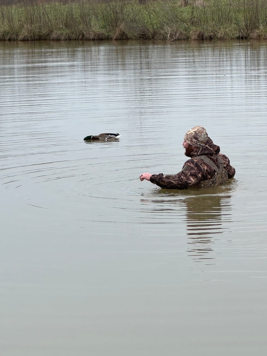 Customer photo review of AquaWade Pro Insulated Duck Waterfowl Hunting Breathable Chest Waders
