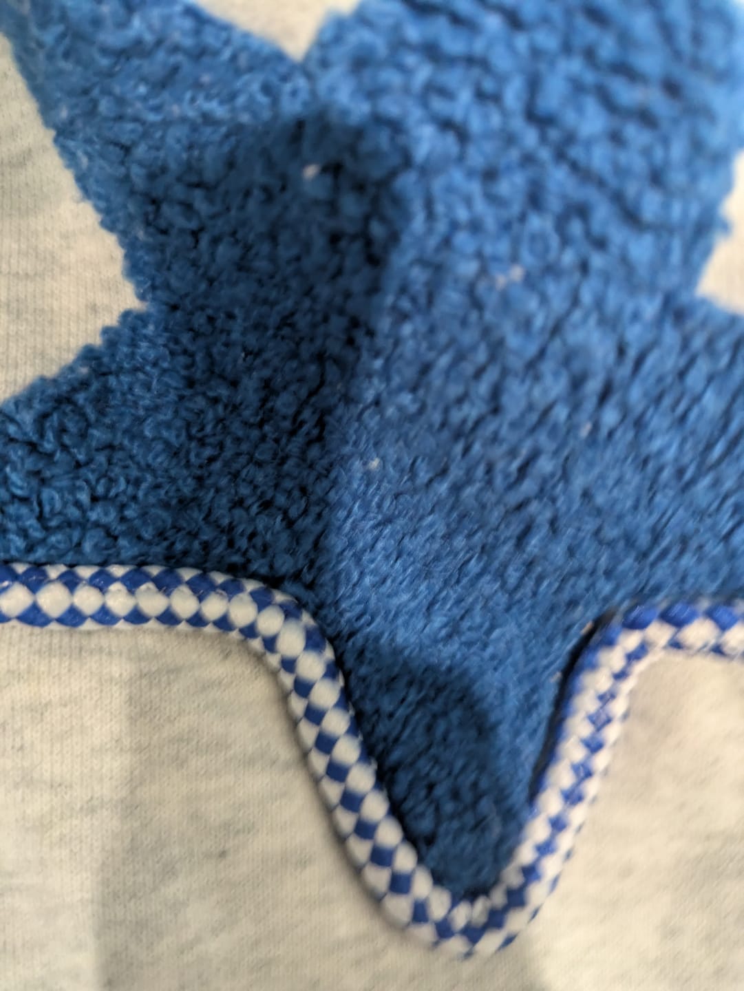 Customer photo review of Aelfric Eden Stellaris Embroidered Hoodie
