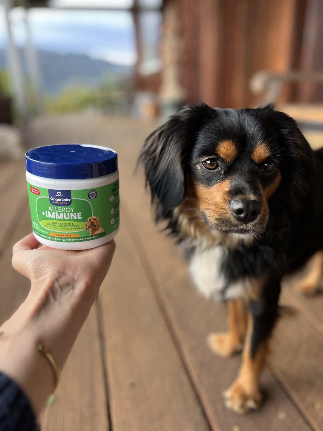Customer photo review of Allergy + Immune