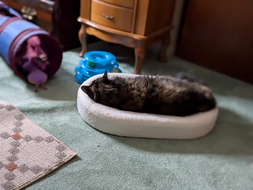 Customer photo review of ScratchLounge