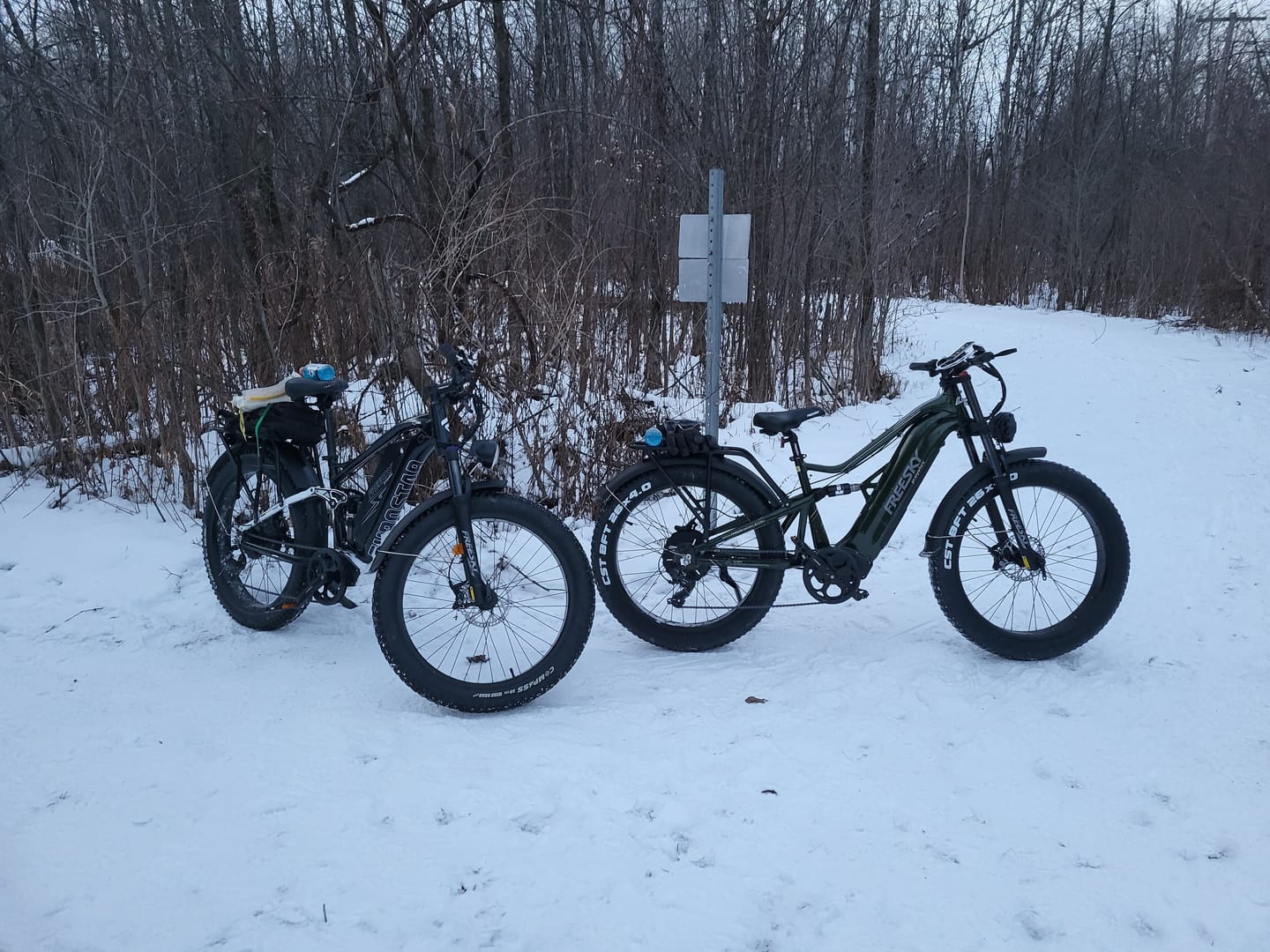 Customer photo review of Swift Horse Pro X-6E