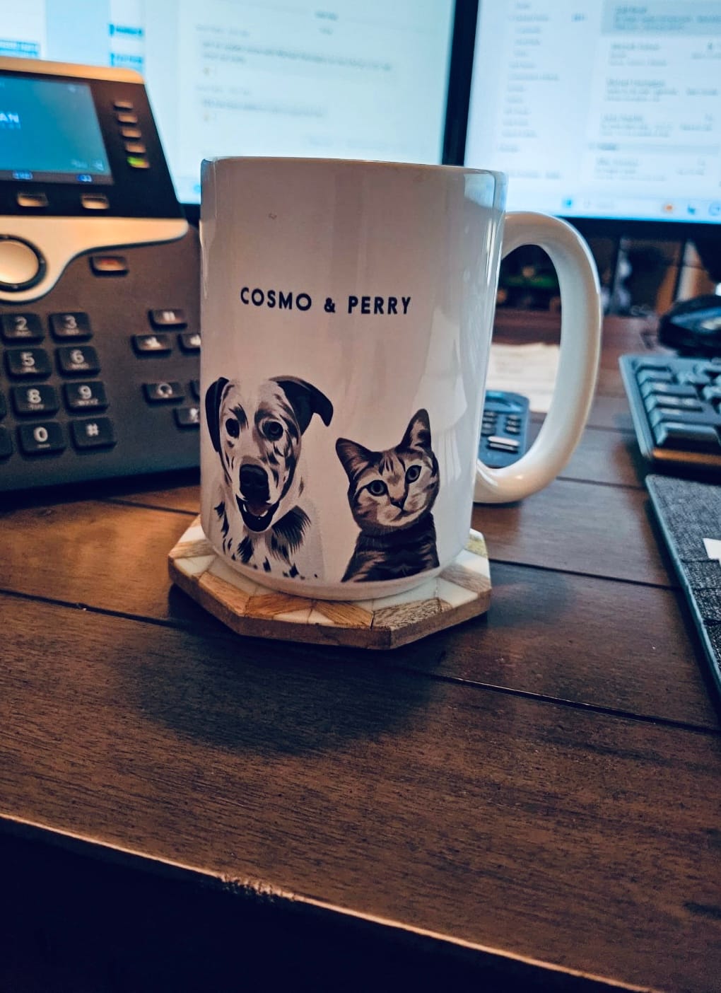 Customer photo review of Custom Pet Portrait Mug