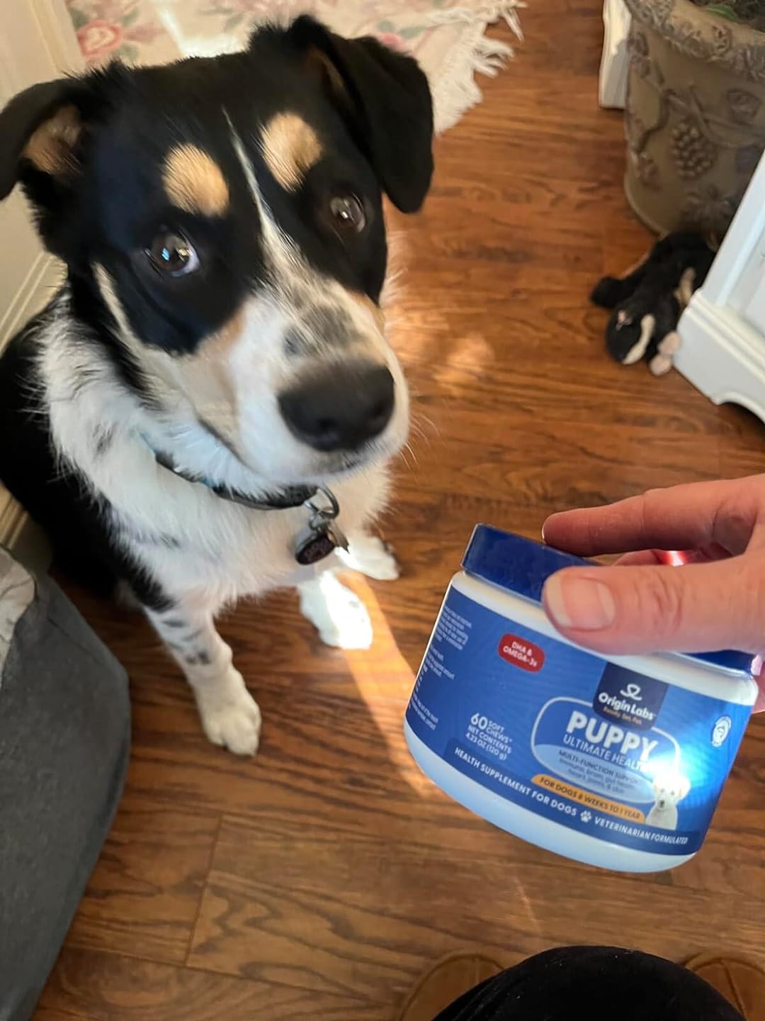 Customer photo review of Puppy Ultimate Health Chew