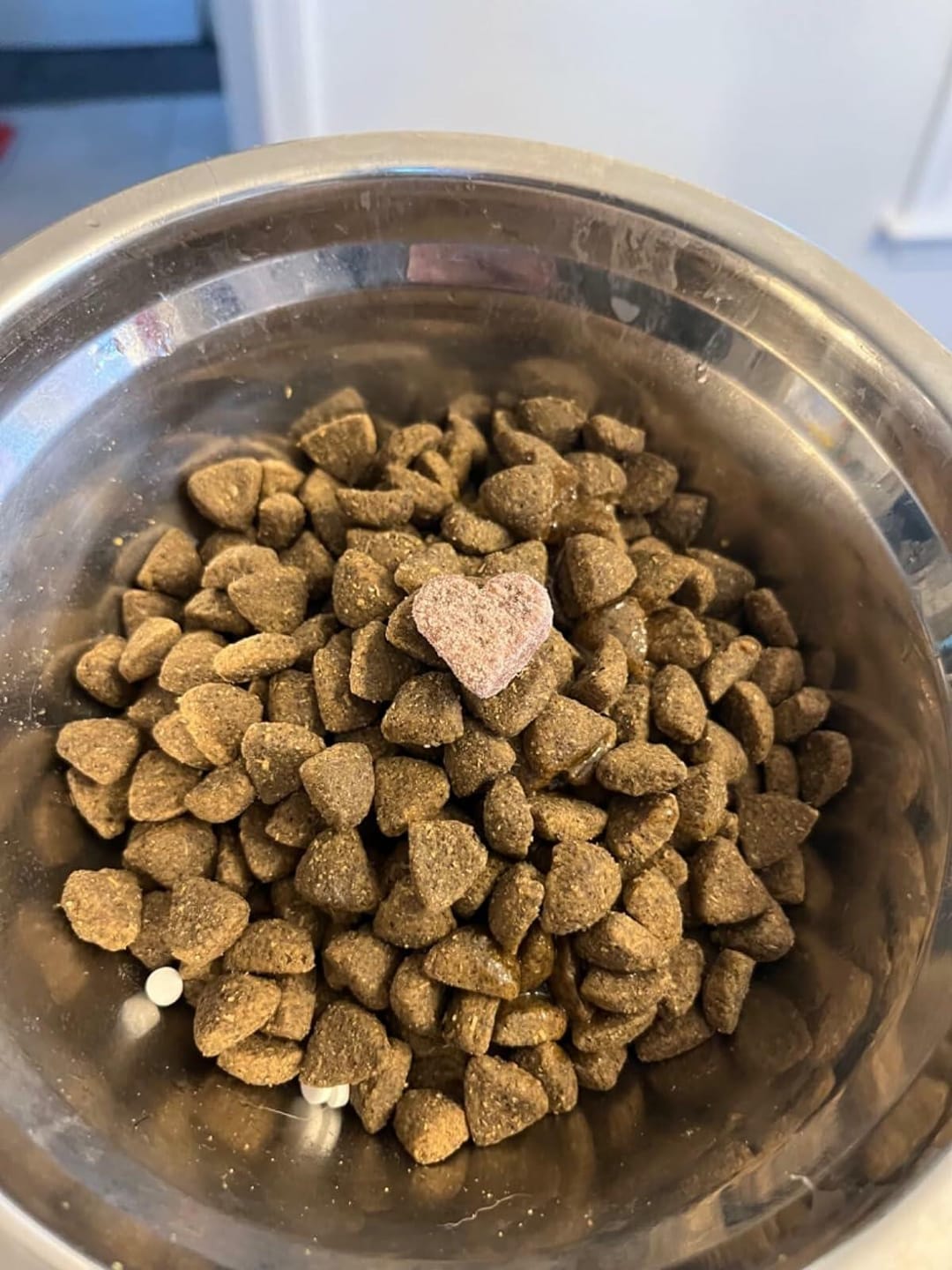 Customer photo review of Allergy + Immune