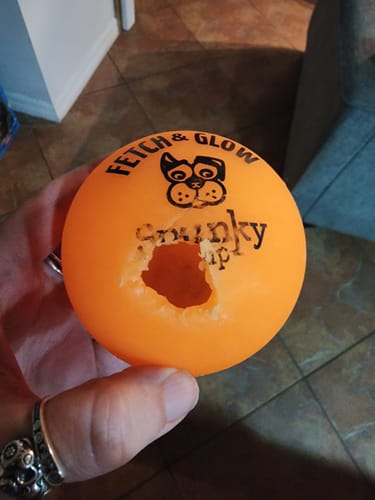 Customer photo review of Fetch & Glow Balls