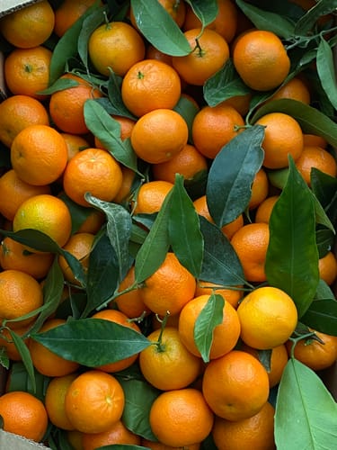 Luiggi L. review of Clémentines Bio - Origine Corse image 1 out of 1