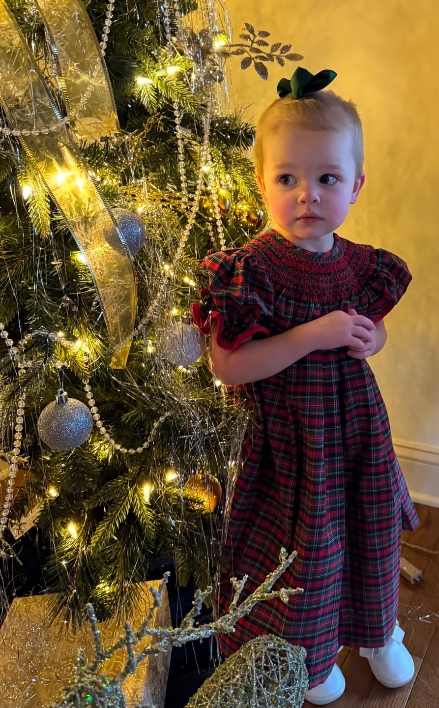 Customer photo review of Christmas Eve Plaid Smocked Bishop Dress