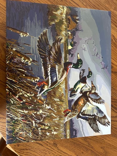 Customer photo review of Outback Mallards - Paint by Numbers