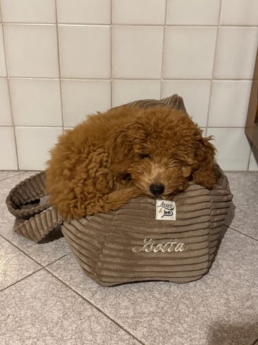 Customer photo review of Ricamo (NON RIMUOVERE)