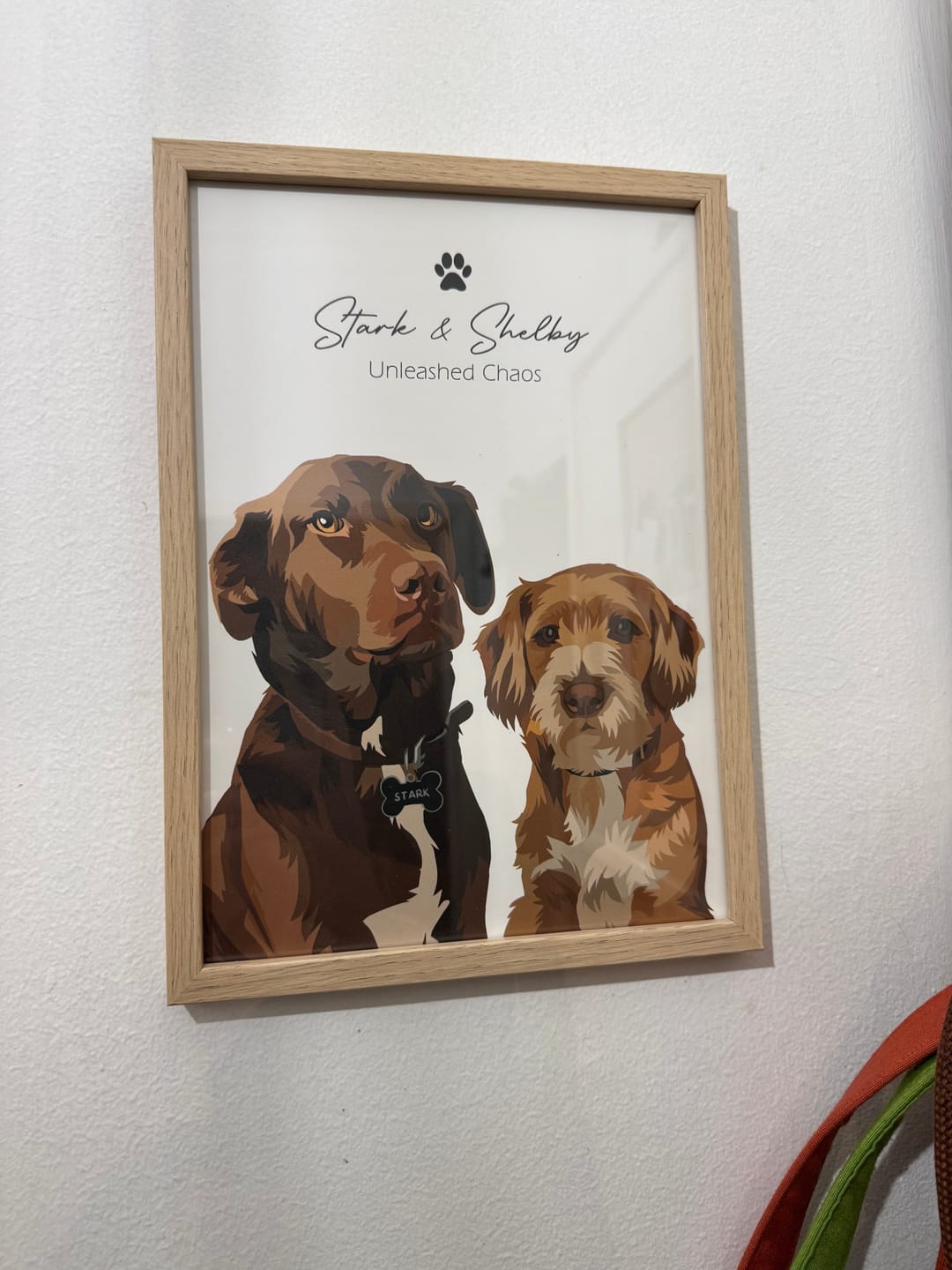 Customer photo review of Quadro Retrato Colorido (1 Animal)