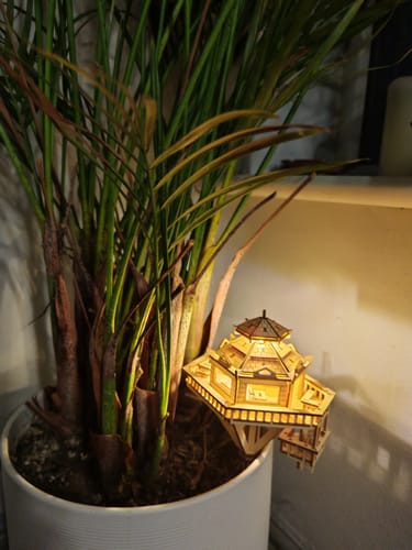 undefined review of Woodland Outpost image 1 out of 1