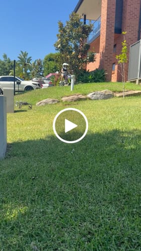 Customer video review of 350W TAKANI  Electric Balance Bike 16'' - TK1652-RS Plum Silver
