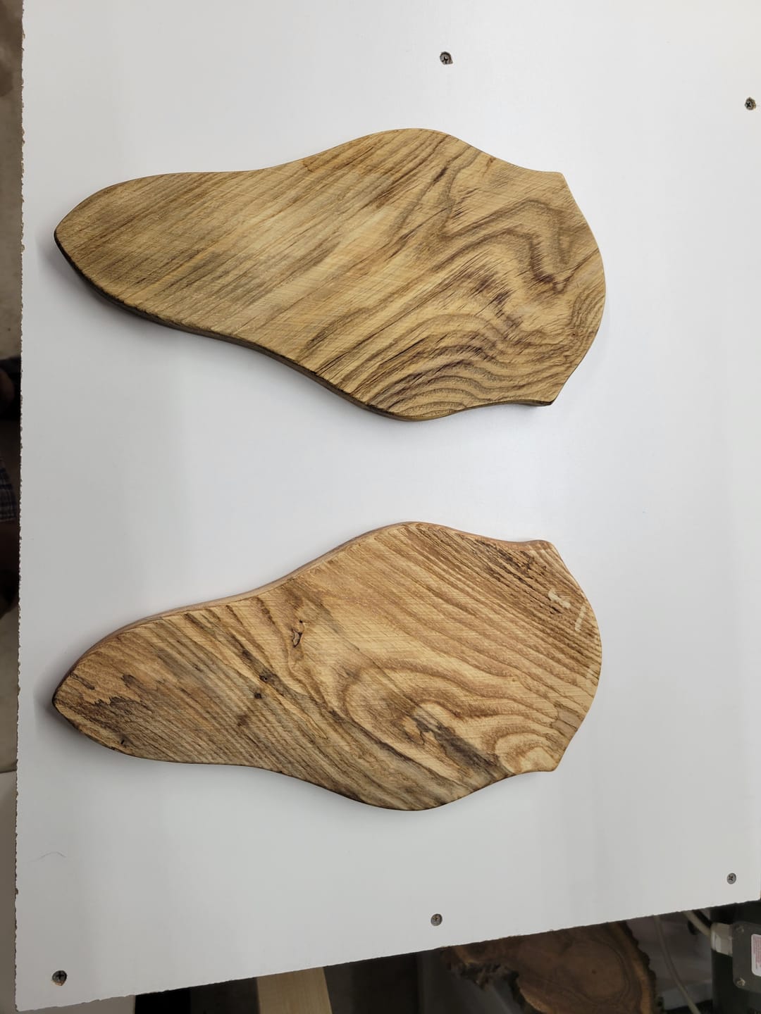 Customer photo review of Award / Taxidermy Mount Plaque Style 4 (Euro Deer) - Acrylic Router Template