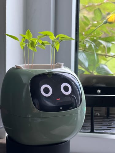 Customer photo review of Ivy Smart Pet Planter