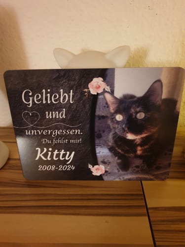 Customer photo review of Katzen Gedenktafel mit Foto & Spruch (UV- & Wetterfest)
