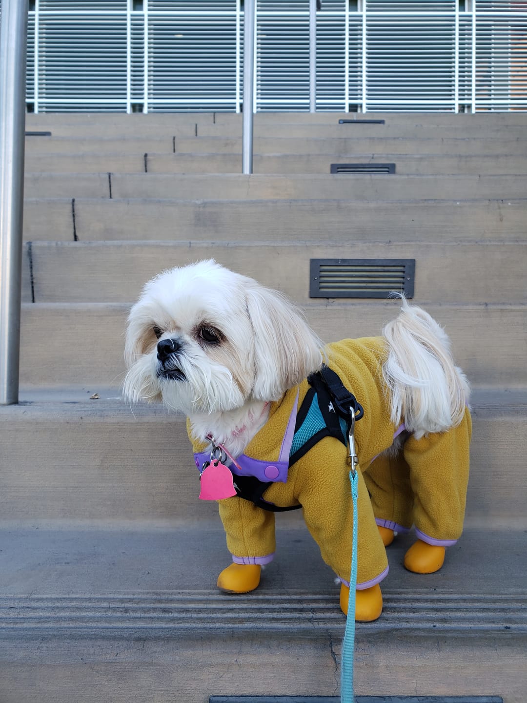 Customer photo review of NEW Fleece Pull-Over